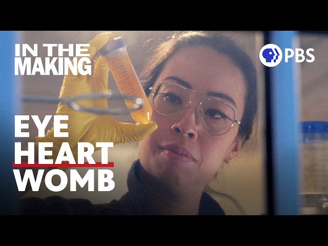 Who Controls Women’s Bodies? Ani Liu Responds | In The Making | PBS