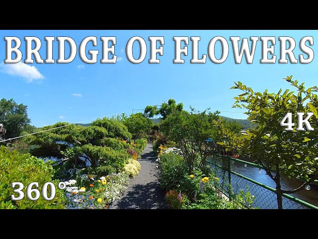 [4K] Shelburne Bridge of Flowers filmed in 360°. Video #17