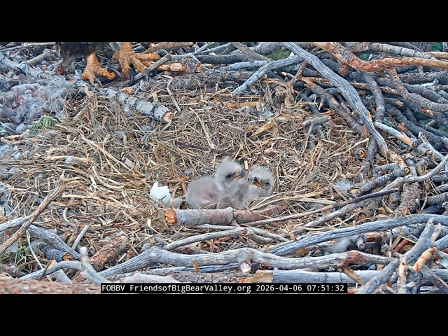 4-5-2026 A Beautiful Beginning