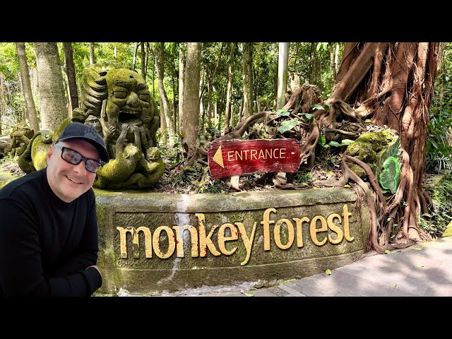 Inside the Sacred Monkey Forest 🐒 of Ubud, Bali 🌿 | Walking Among Hundreds of Monkeys