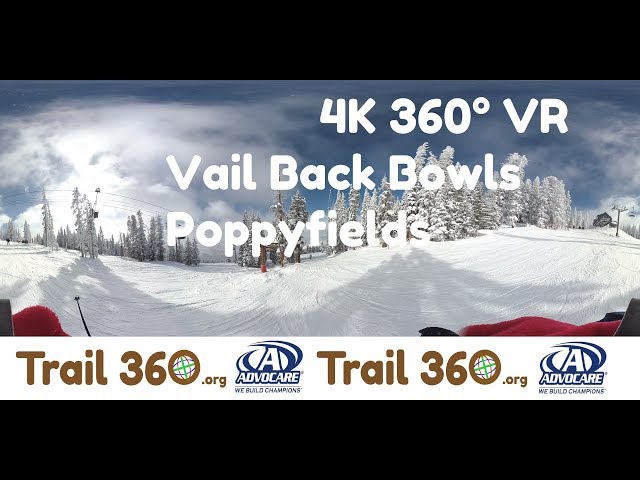 Vail Back Bowls Poppyfields-Trail 360