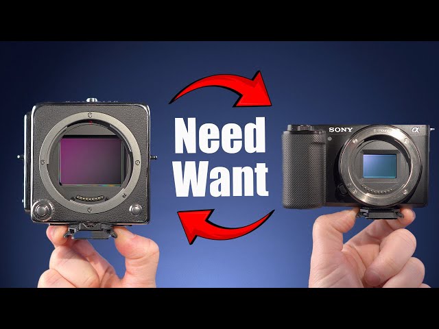 The ZV-E10 Beats This $8000 Camera