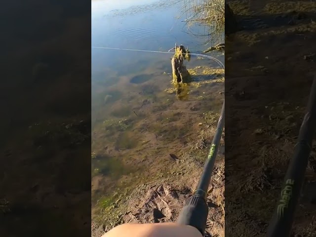 Epic Bass Hook-Up Gone Wrong! Rod Snaps in Half! #bassfishing #fishing