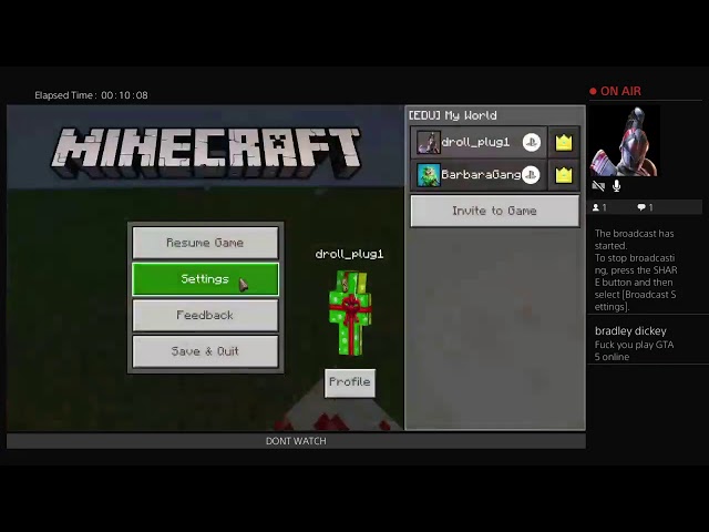 minecraft with stream