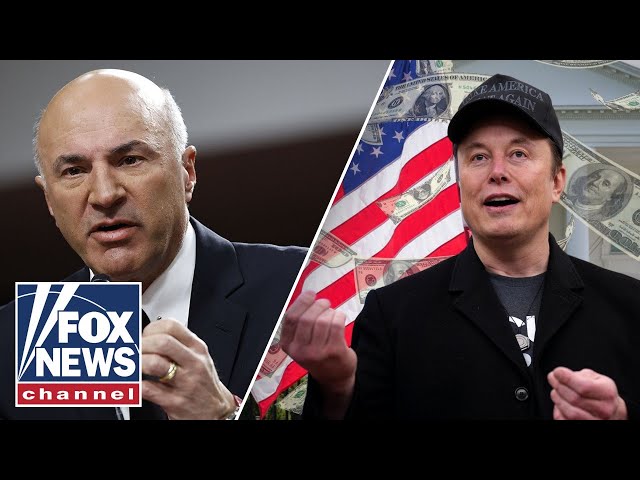 Elon Musk learned DC is a ‘nasty, vicious place: O’Leary