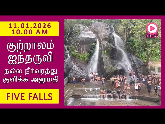 Five Falls | 11.01.2026, 10.00 AM | குற்றாலம் ஐந்தருவி வீடியோ | Kutralam Season Today | KutralamLive