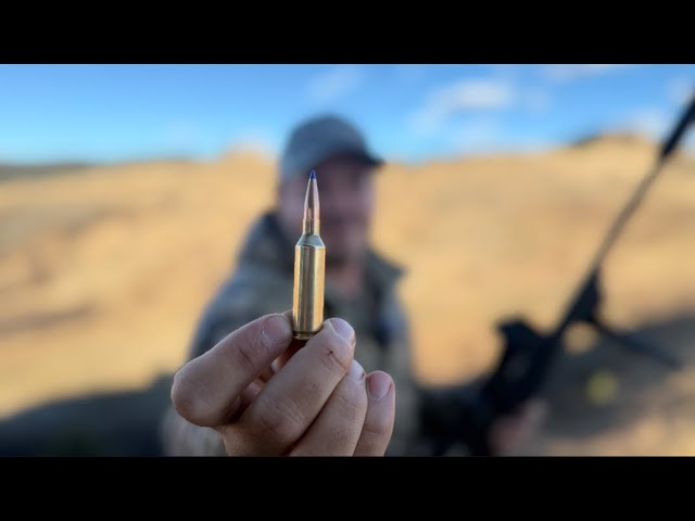 Is The 6.5 PRC The Perfect Do-It-All Cartridge?