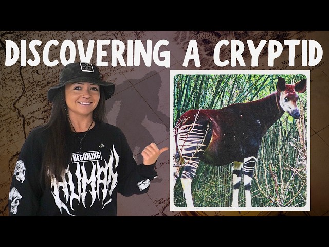 Real Cryptids: OKAPI! | Lindsay Nikole