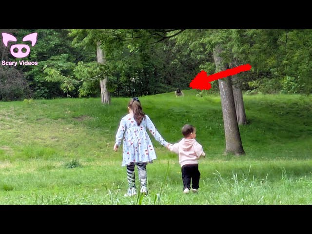 10 SCARY VIDEOS That Shouldn't Exist