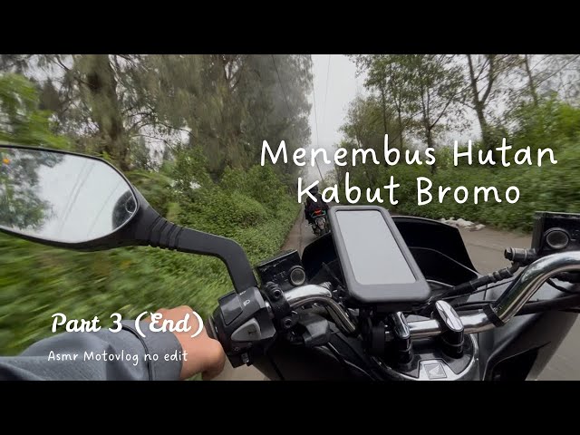 Foggy Forest Road | Bromo via Malang (ASMR MOTOVLOG) - Part 3 End.
