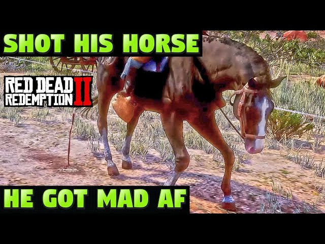 Killed His Horse & Robbed Him Then Said "I Was Only Joking" 💀 Red Dead Redemption 2 #johnmarston
