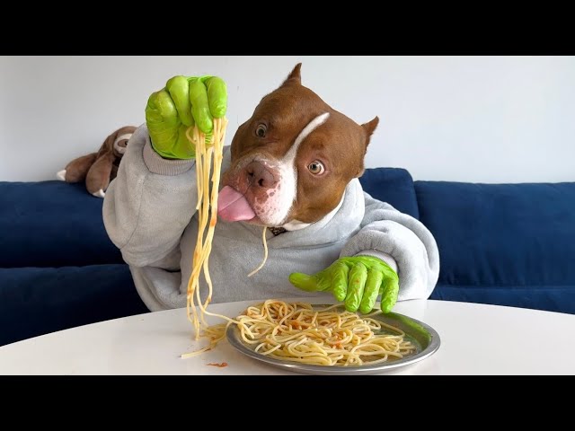 Chocodogger VS Spaghetti Meatballs