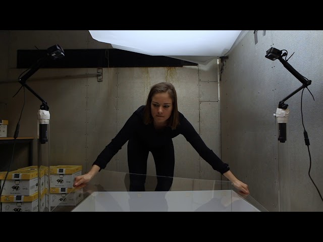 Forsker: Julie Sørlie Paus-Knudsen, PhD kandidat CEES/Seksjon for akvatisk biologi og toksikologi