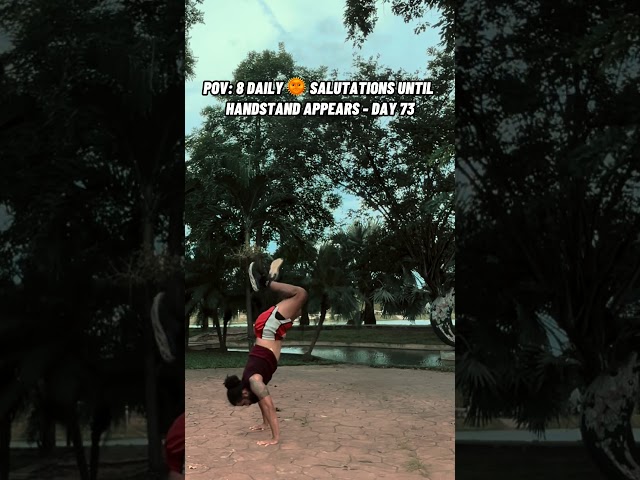 8 Sun Salutations Daily Until Handstand Appears