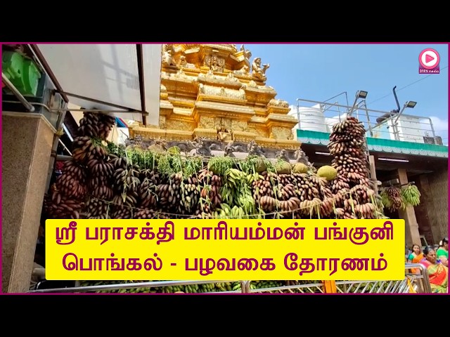 அருள்மிகு ஸ்ரீ பராசக்தி மாரியம்மன் கோவில் பங்குனி பொங்கல் திருவிழா - பழவகைகள் தோரணம்