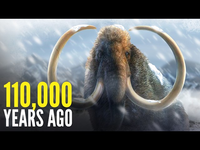Beasts of the Ice Age | For Sleep Documentary (No AI Used)