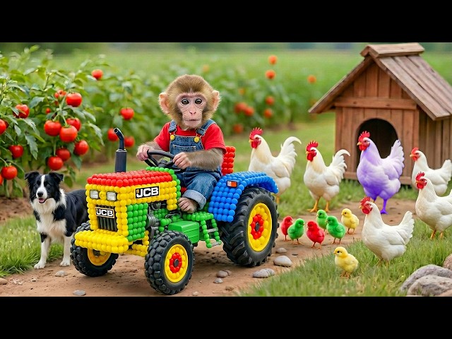 Monkey NaNa Rebuilds the Chicken House After a Shocking Escape! JCB 3cx Tractor Excavator Help