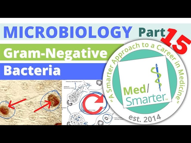 Gram-Negative Bacteria | Microbiology | USMLE STEP 1 | Pt 15
