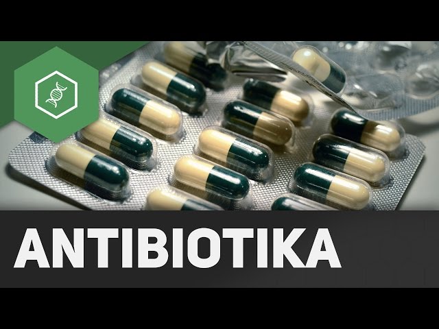 How do antibiotics work?!