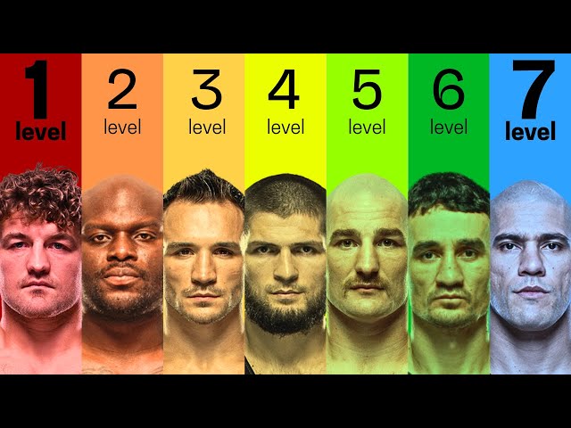 The 7 Levels of MMA Striking