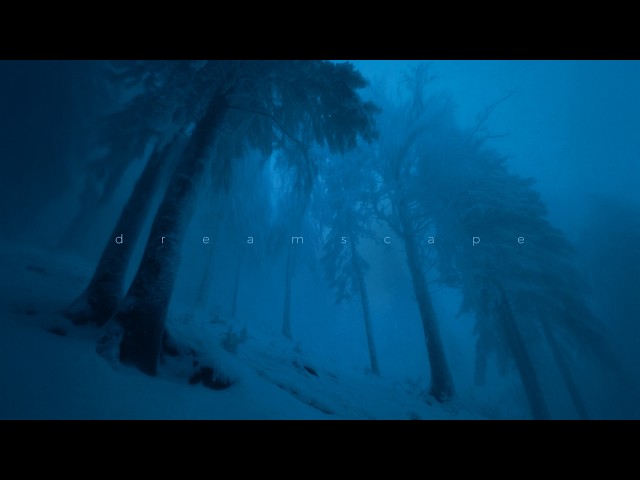 alixe., bluegaze - i would give anything to hold your hand