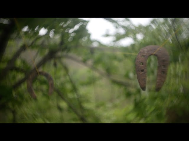 FIELD AEOLIAN HARP / 野良の風弦琴