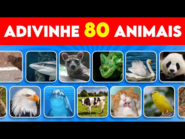 Can You Guess 80 Animals in 3 Seconds? | Easy, Medium, Hard, Impossible