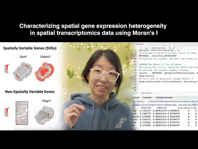 Using Moran's I to identify spatially variable genes in spatial transcriptomics data