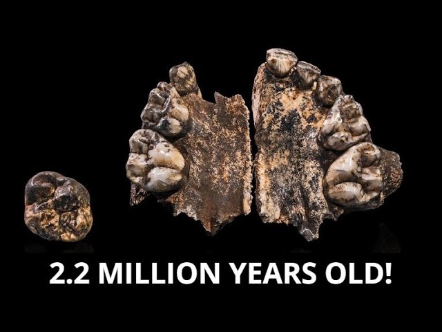 OLDEST Hominin Genetic Data Extracted From 2.2-Million-Year-Old Tooth Shattering Previous Records!