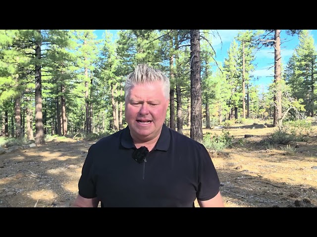 The Diesel Price Problem Destroying Trucking Companies