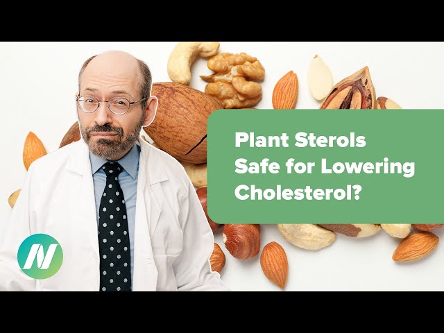 Are Plant Sterols Safe for Lowering Cholesterol?