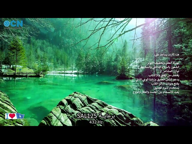 OCN – Omni Connect Network | LIVE 24/7 • Peace • Love • Enlightenment