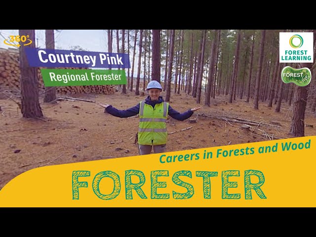 ForestVR - Grow your Career as a Forester  -- 5K