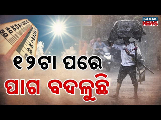 Massive Kalbaisakhi Storm Hits Odisha! Hailstorm, Trees Down, Roads Blocked