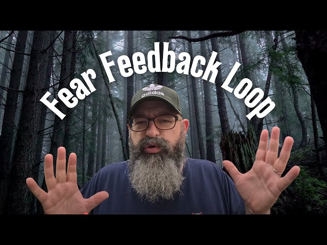 Expat Fear Feedback Loop 🇳🇮