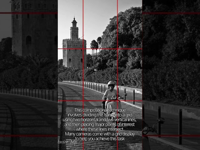 COMPOSITION- Rule of thirds in 30 sec #shorts