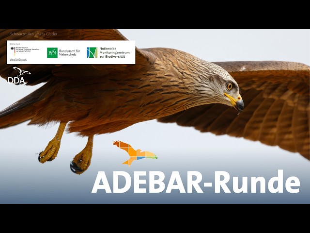 ADEBAR-Runde 2026_14.02.2026