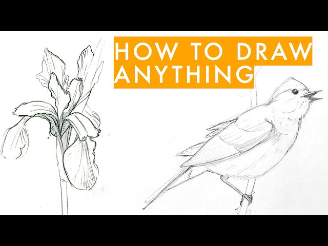 Draw ANYTHING! Beginner Sketching in 7 Easy Steps