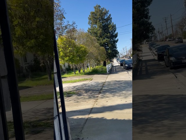 The beautiful streets of Hayward #foryou #fyp #shorts