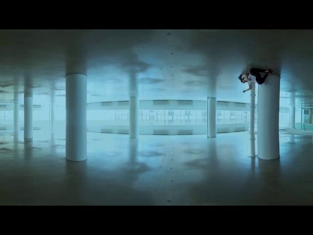 Missing Labour  [8K]