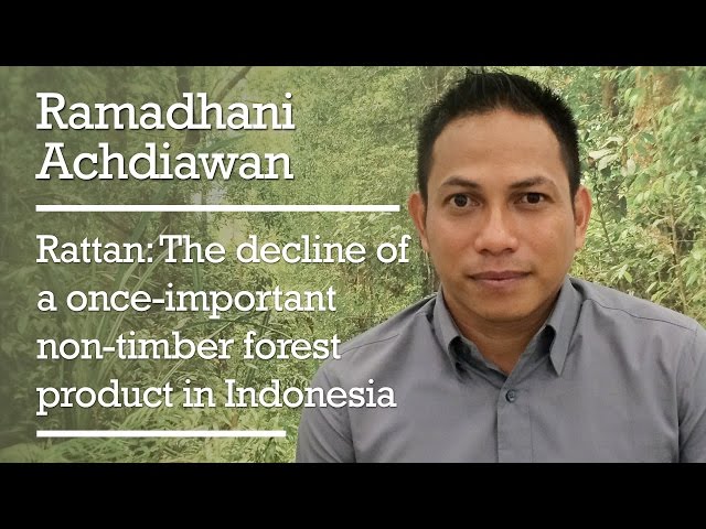 Ramadhani Achdiawan - Rattan: The decline of a once-important non-timber forest product in Indonesia