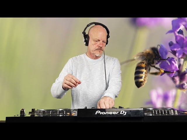 The Techno-feeling of Sun, Flowers and Bees - Melodic Hypnotic Techno Set