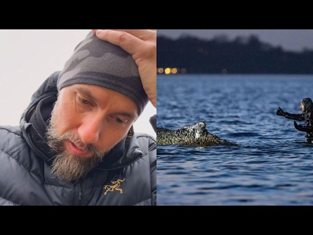 HEFTIGE KRITIK GEGEN ROBERT MARC LEHMANN WEGEN TIMMY!