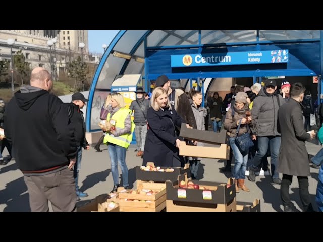 AGROunia. 2 jabłka za 17 gr.