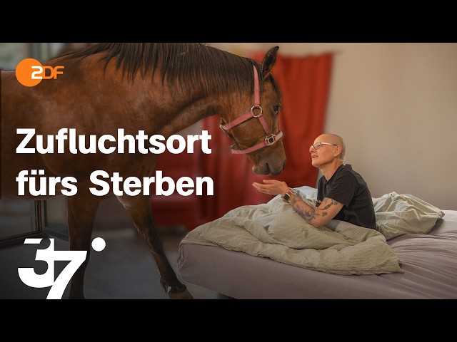 Sterbebegleitung mit Herz: Ein Hof voller Leben I 37 Grad