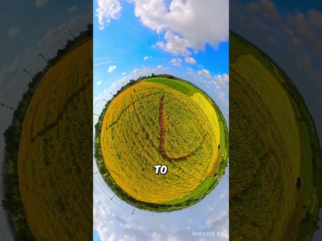 Planet in a Frame 🌍 (@aquastorykuni - on IG) #shorts