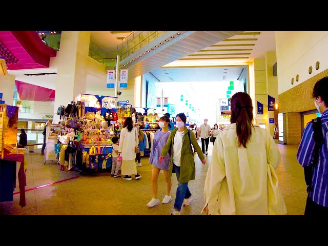 Yokohama is a city full of variety ♪ 💖 4K ASMR non-stop 1 hour 12 minutes