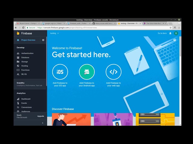 Flutter 42 - Firebase Google Sign in