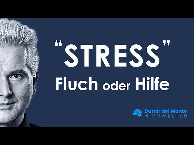STRESS - CURSE OR HELP? | Dr. Dr. Damir del Monte | BRAIN WORLDS
