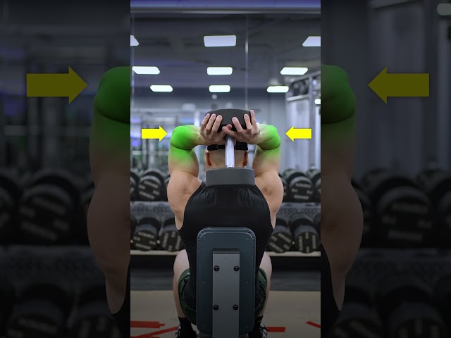 ✅ The PERFECT Overhead DB Tricep Extension